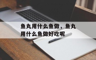 鱼丸用什么鱼做，鱼丸用什么鱼做好吃呢