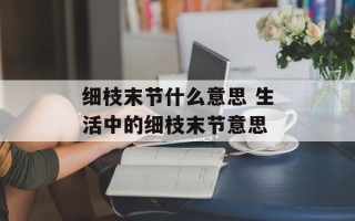 细枝末节什么意思 生活中的细枝末节意思