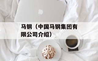 马钢（中国马钢集团有限公司介绍）
