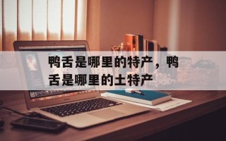 鸭舌是哪里的特产，鸭舌是哪里的土特产
