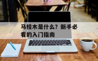 马桂木是什么？新手必看的入门指南