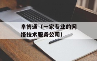 阜博通（一家专业的网络技术服务公司）