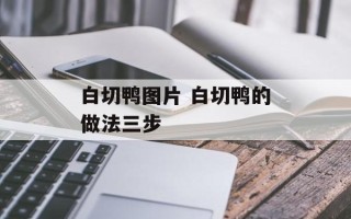 白切鸭图片 白切鸭的做法三步