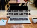 龙骨花怎么修剪（龙骨花的修剪技巧和注意事项）