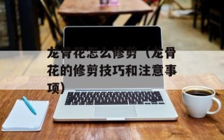 龙骨花怎么修剪（龙骨花的修剪技巧和注意事项）