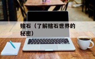 赌石（了解赌石世界的秘密）