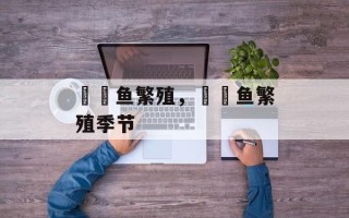 鳑鲏鱼繁殖，鳑鲏鱼繁殖季节