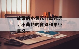 故事的小黄花什么意思，小黄花的含义和象征意义