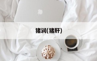 猪润(猪肝)