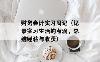 财务会计实习周记（记录实习生活的点滴，总结经验与收获）