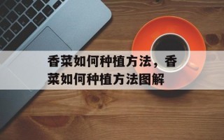 香菜如何种植方法，香菜如何种植方法图解