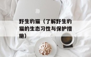 野生豹猫（了解野生豹猫的生态习性与保护措施）