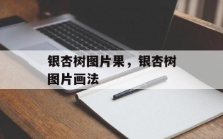 银杏树图片果，银杏树图片画法