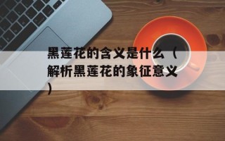 黑莲花的含义是什么（解析黑莲花的象征意义）