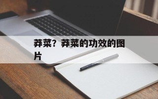 莽菜？莽菜的功效的图片