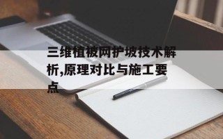 三维植被网护坡技术解析,原理对比与施工要点