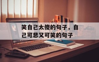 笑自己太傻的句子，自己可悲又可笑的句子