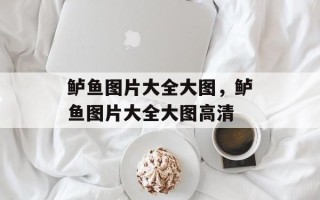 鲈鱼图片大全大图，鲈鱼图片大全大图高清