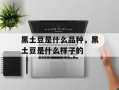黑土豆是什么品种，黑土豆是什么样子的