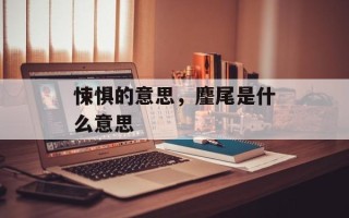 悚惧的意思，麈尾是什么意思