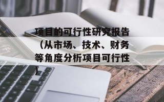 项目的可行性研究报告（从市场、技术、财务等角度分析项目可行性）