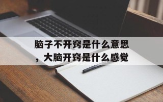 脑子不开窍是什么意思，大脑开窍是什么感觉