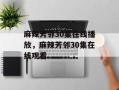 麻辣芳邻30集在线播放，麻辣芳邻30集在线观看