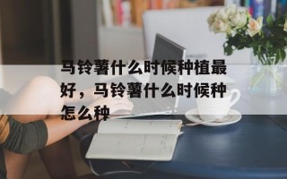 马铃薯什么时候种植最好，马铃薯什么时候种怎么种
