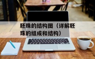 胚珠的结构图（详解胚珠的组成和结构）