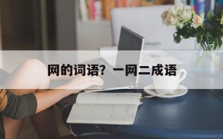 网的词语？一网二成语