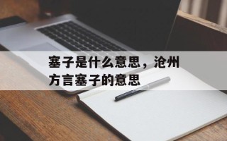 塞子是什么意思，沧州方言塞子的意思