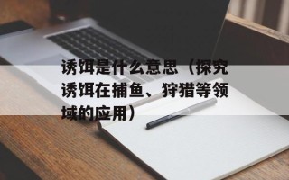 诱饵是什么意思（探究诱饵在捕鱼、狩猎等领域的应用）