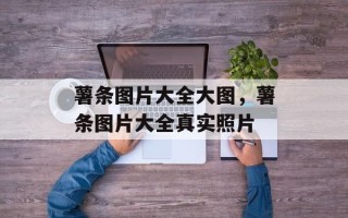薯条图片大全大图，薯条图片大全真实照片