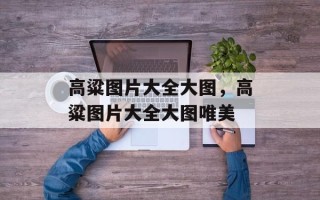 高粱图片大全大图，高粱图片大全大图唯美