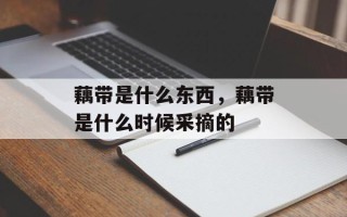 藕带是什么东西，藕带是什么时候采摘的