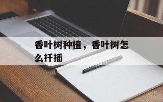 香叶树种植，香叶树怎么扦插