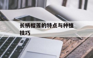 长柄榴莲的特点与种植技巧