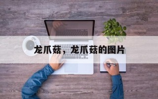 龙爪菇，龙爪菇的图片