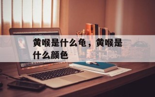黄喉是什么龟，黄喉是什么颜色