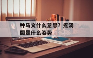 种马文什么意思？煮汤圆是什么姿势