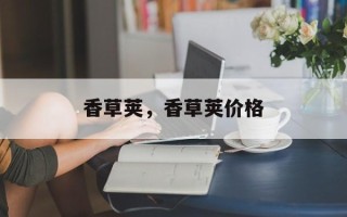 香草荚，香草荚价格