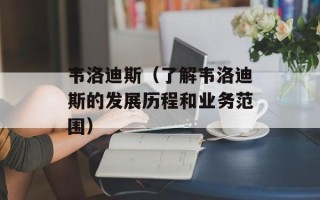 韦洛迪斯（了解韦洛迪斯的发展历程和业务范围）