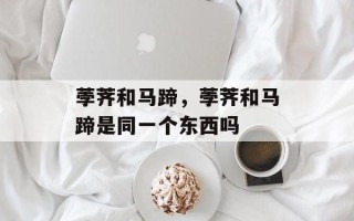 荸荠和马蹄，荸荠和马蹄是同一个东西吗