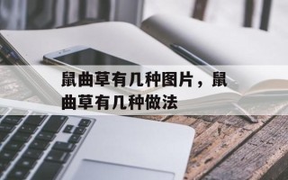 鼠曲草有几种图片，鼠曲草有几种做法