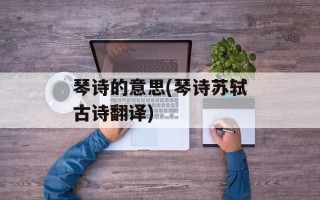 琴诗的意思(琴诗苏轼古诗翻译)