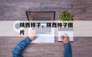 陕西柿子，陕西柿子图片