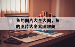 鱼的图片大全大图，鱼的图片大全大图唯美