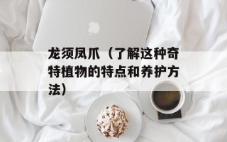 龙须凤爪（了解这种奇特植物的特点和养护方法）