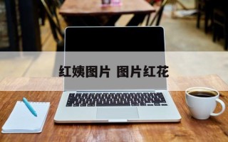 红姨图片 图片红花