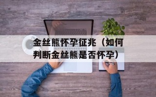 金丝熊怀孕征兆（如何判断金丝熊是否怀孕）